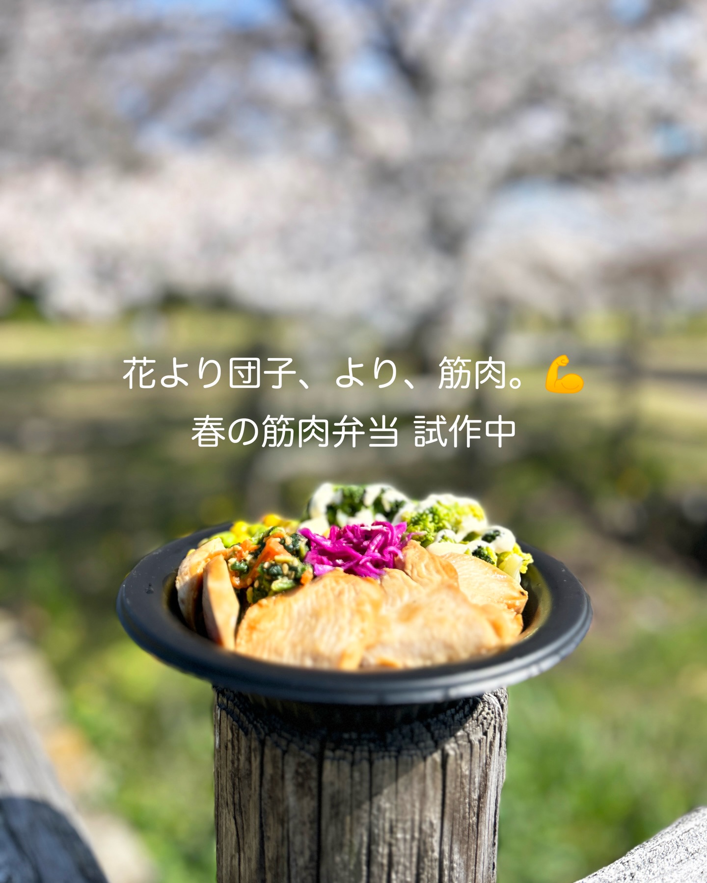 Instagramを更新しました